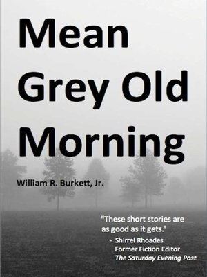 cover image of Mean Grey Old Morning